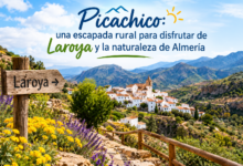 Picachico